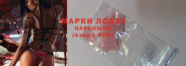 стаф Богородицк
