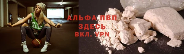 стаф Богородицк