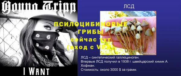 COCAINE Богданович