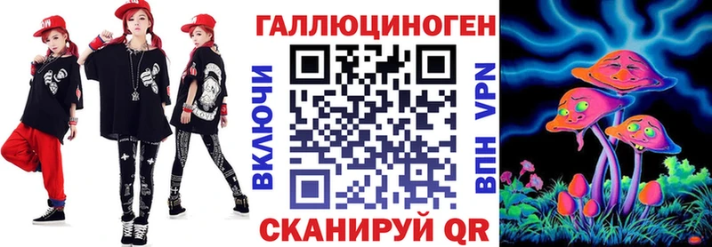 закладки  Комсомольск-на-Амуре  Псилоцибиновые грибы мицелий 